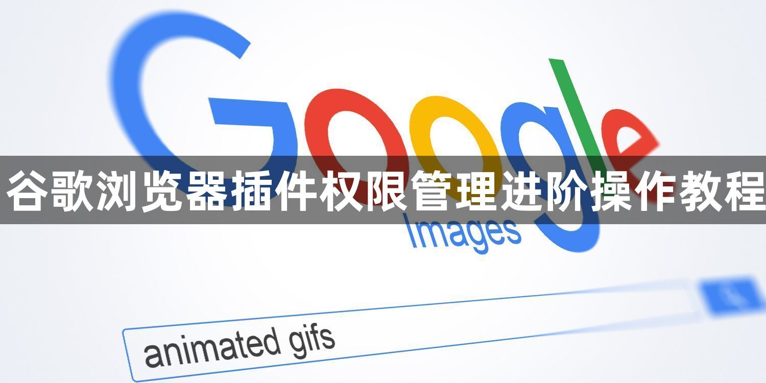 谷歌浏览器插件权限管理进阶操作教程1