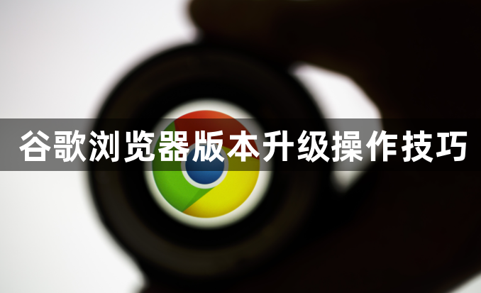 谷歌浏览器版本升级操作技巧1