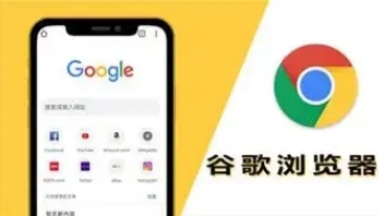 google Chrome浏览器下载安装及网络优化技巧