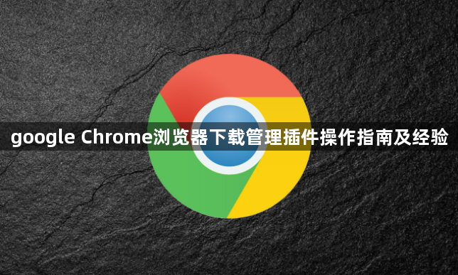google Chrome浏览器下载管理插件操作指南及经验1