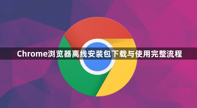 Chrome浏览器离线安装包下载与使用完整流程1