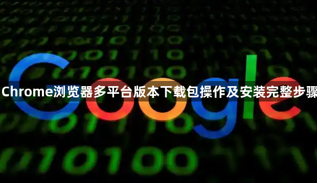 Chrome浏览器多平台版本下载包操作及安装完整步骤1