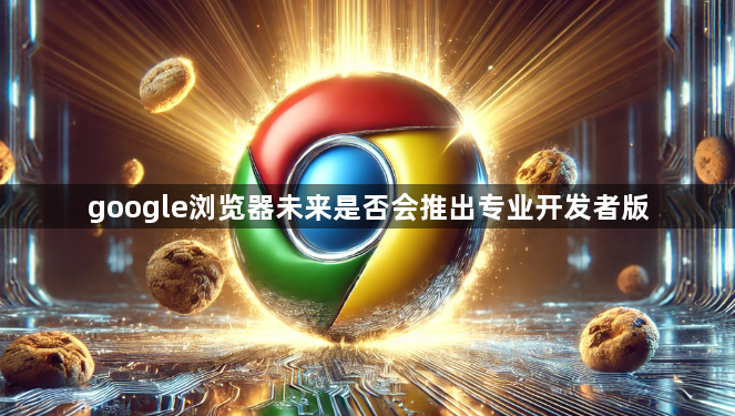 google浏览器未来是否会推出专业开发者版1