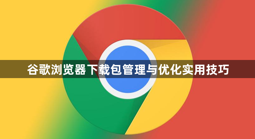 谷歌浏览器下载包管理与优化实用技巧1
