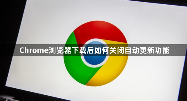 Chrome浏览器下载后如何关闭自动更新功能1