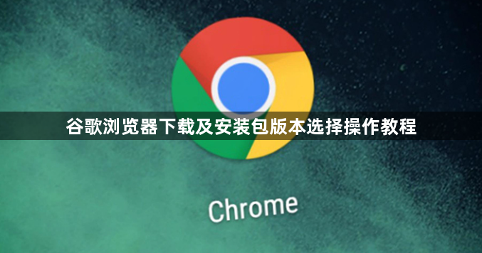谷歌浏览器下载及安装包版本选择操作教程1
