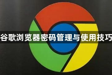 谷歌浏览器密码管理与使用技巧1