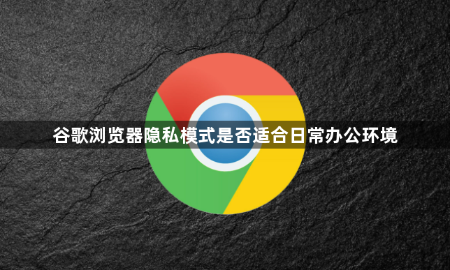 谷歌浏览器隐私模式是否适合日常办公环境1