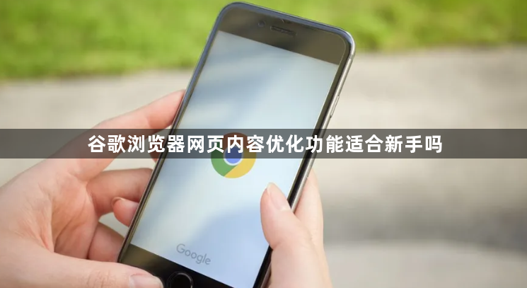 谷歌浏览器网页内容优化功能适合新手吗1
